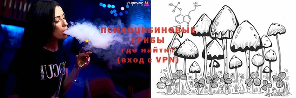 ALPHA PVP Алексин