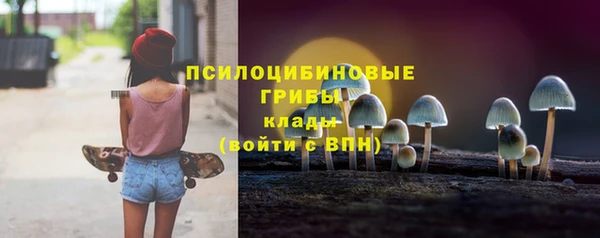 ALPHA PVP Алексин