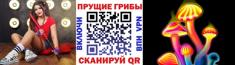 Псилоцибиновые грибы ЛСД  продажа наркотиков  Закаменск 