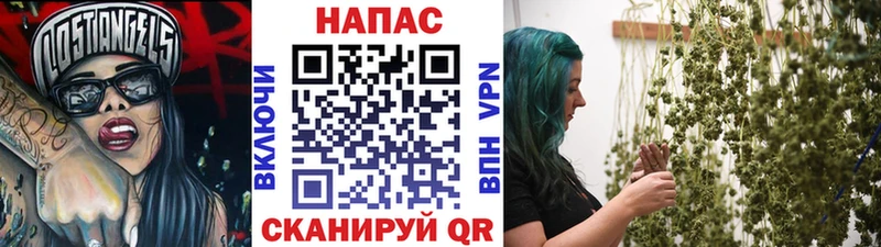 Марихуана гибрид  omg онион  Закаменск 